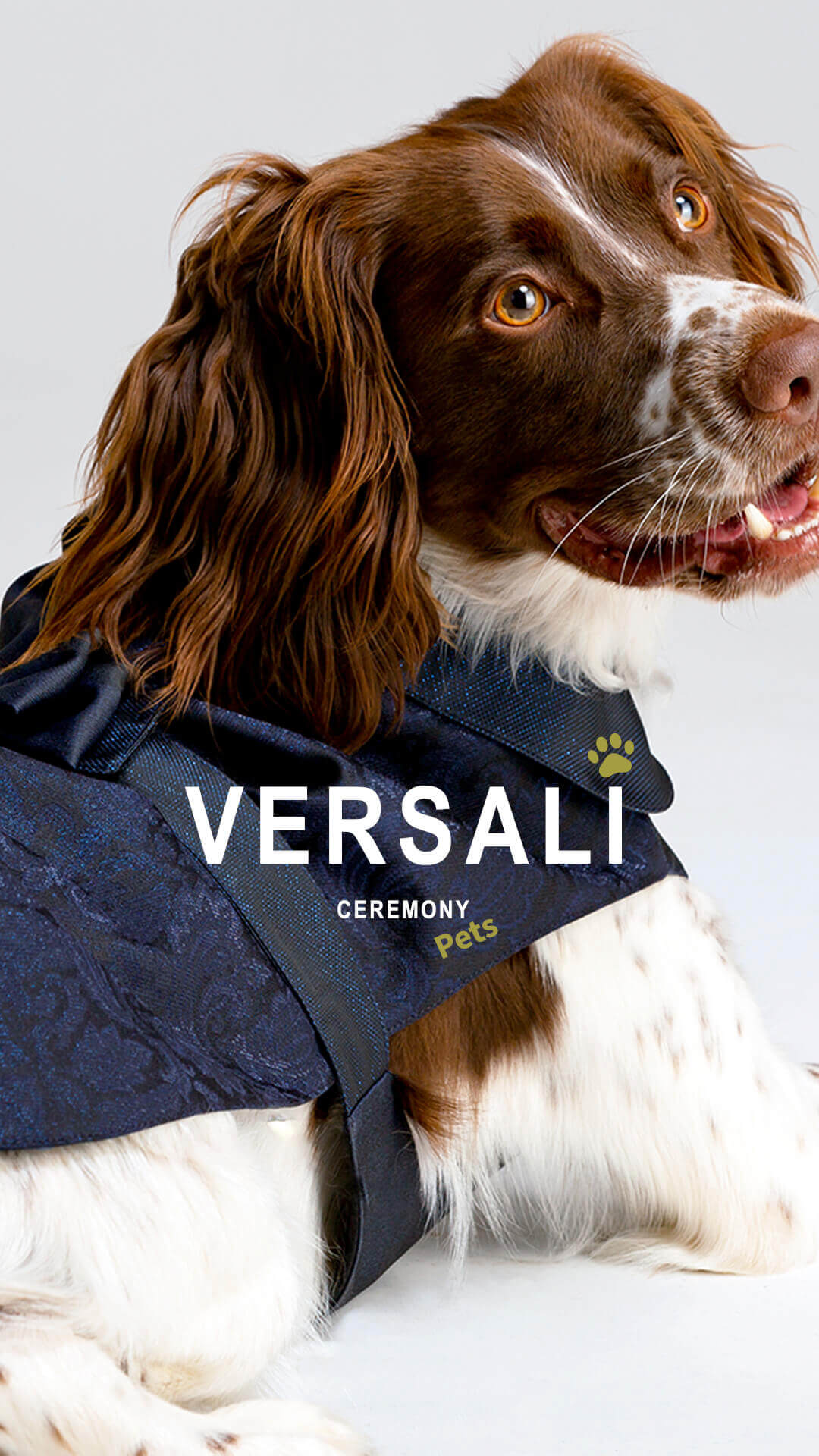 versali veste il tuo pet - abiti cerimonia per il tuo cane